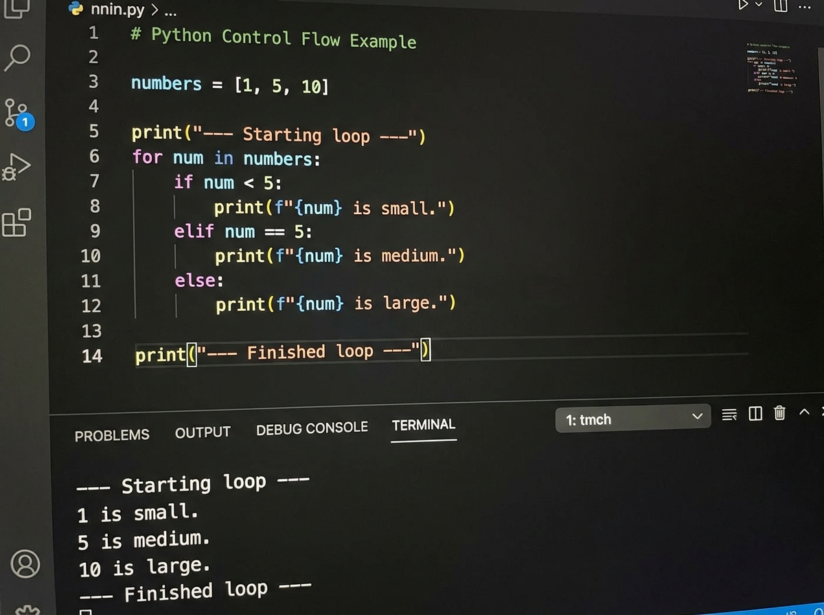 Python control flow example showing if-elif-else conditional block alongside a for loop iterating over a list, with terminal output demonstrating each branch executing correctly