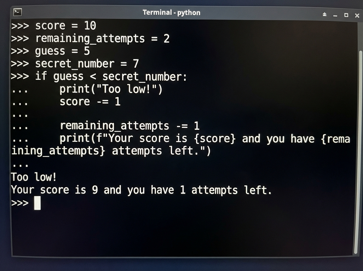 Python terminal output showing f-string interpolation with variable values inside a simple text-based guessing game, displaying player score and remaining attempts