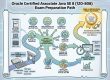 How to Pass the Oracle Certified Associate Java Exam (1Z0-808)
