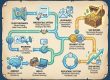 How to Earn in USD as a Freelancer: A Real-World Journey to Foreign Clients